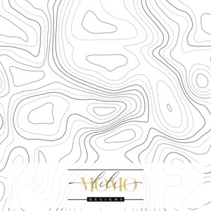 May include: A white background featuring a repeating pattern of thin gray topographic contour lines. At the bottom center, a black rectangular label contains the gold text "lili" above the word "DESIGNS" in white capital letters.