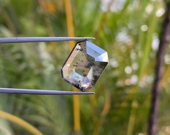May include: A faceted, irregularly shaped gemstone held by tweezers. The gem has a mix of clear and smoky tones with internal inclusions. The facets reflect light, creating a sparkling effect. The background is a blurred view of green foliage.