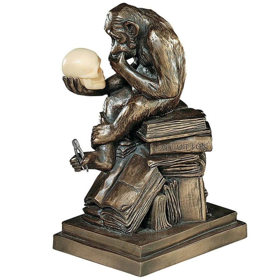 Darwin's Ape Thinker Monkey Sculpture Statue by Rheinhold Etsy