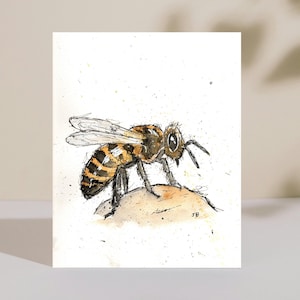 Bee Wall Art Print – Watercolor Ink Illustration of Honey Bee, Nature & Pollinator Decor
