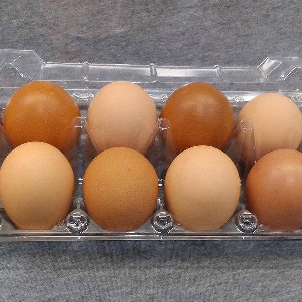 Hand Blown Brown Real Free Range Chicken Eggs, Mixed Shades of Brown, perfect for farm house decor, ranch and barn decor
