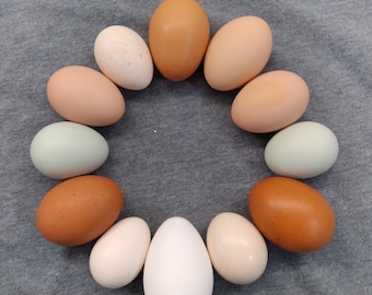 Hand Blown Chicken Egg Shells: Natural Colors, Farmhouse Decor
