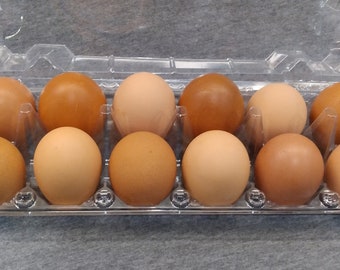 Hand Blown Brown Real Free Range Chicken Eggs, Mixed Shades of Brown, perfect for farm house decor, ranch and barn decor