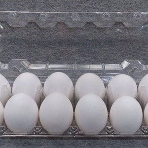 SECONDS SALE: Hollow wooden eggs