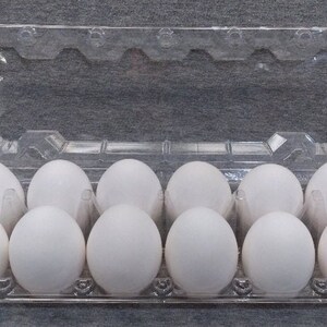 JUMBO XXL White Hand Blown Real Chicken Eggs, farm house decor, art projects, easter decorations, blown out hollow ready to use eggshells!