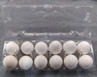 Hand Blown White Chicken Eggs: Cleaned Shells for Art & Decor