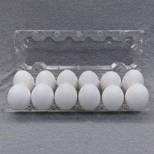 Jumbo White Blown Chicken Eggs: Hollow Eggshells for Art & Decor