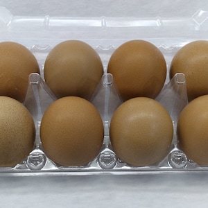 May include: A carton of twelve brown eggs in a clear plastic egg carton.
