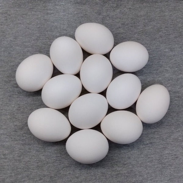 Clean Empty White Chicken Egg Shells - Only 1 Tiny Hole - Clean Empty Eggs from Free Range Chickens - Blank for Pysanky, egg art, etc