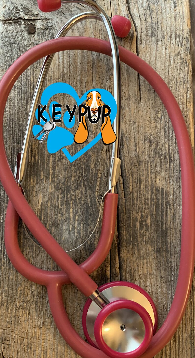 Doberman Pinscher Stethoscope ID Tag Leather Dog Doctor Nurse Veterinarian Custom Pet Loss Pet Sympathy Dog Memorial Gift Birthday Gift