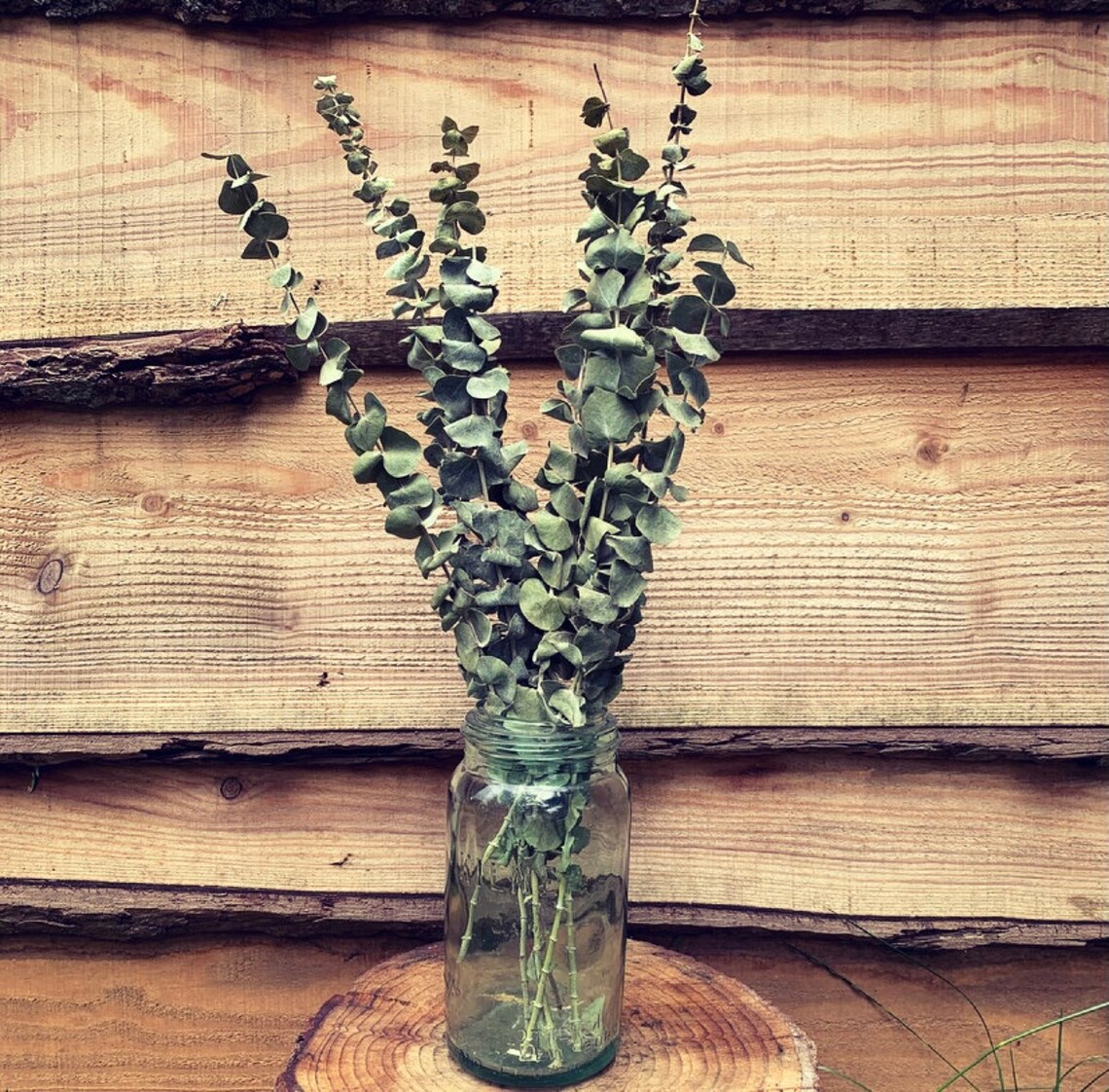 Dried Eucalyptus Home Decor Dried flowers Etsy