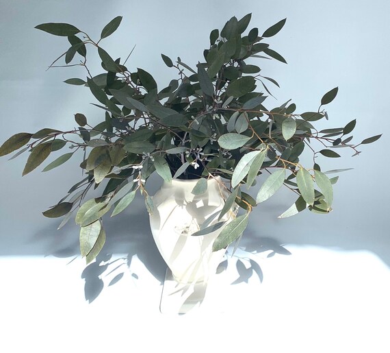Fresh Eucalyptus Bouquet Etsy