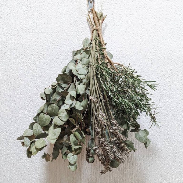 Dried Eucalyptus | Shower bundle | Aromatherapy | Spa