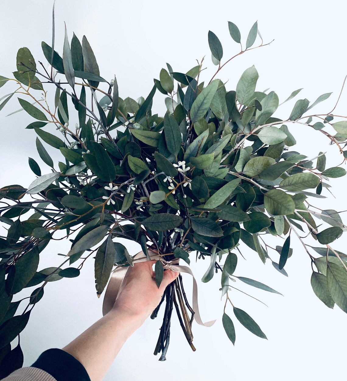 Fresh Eucalyptus Bouquet Etsy