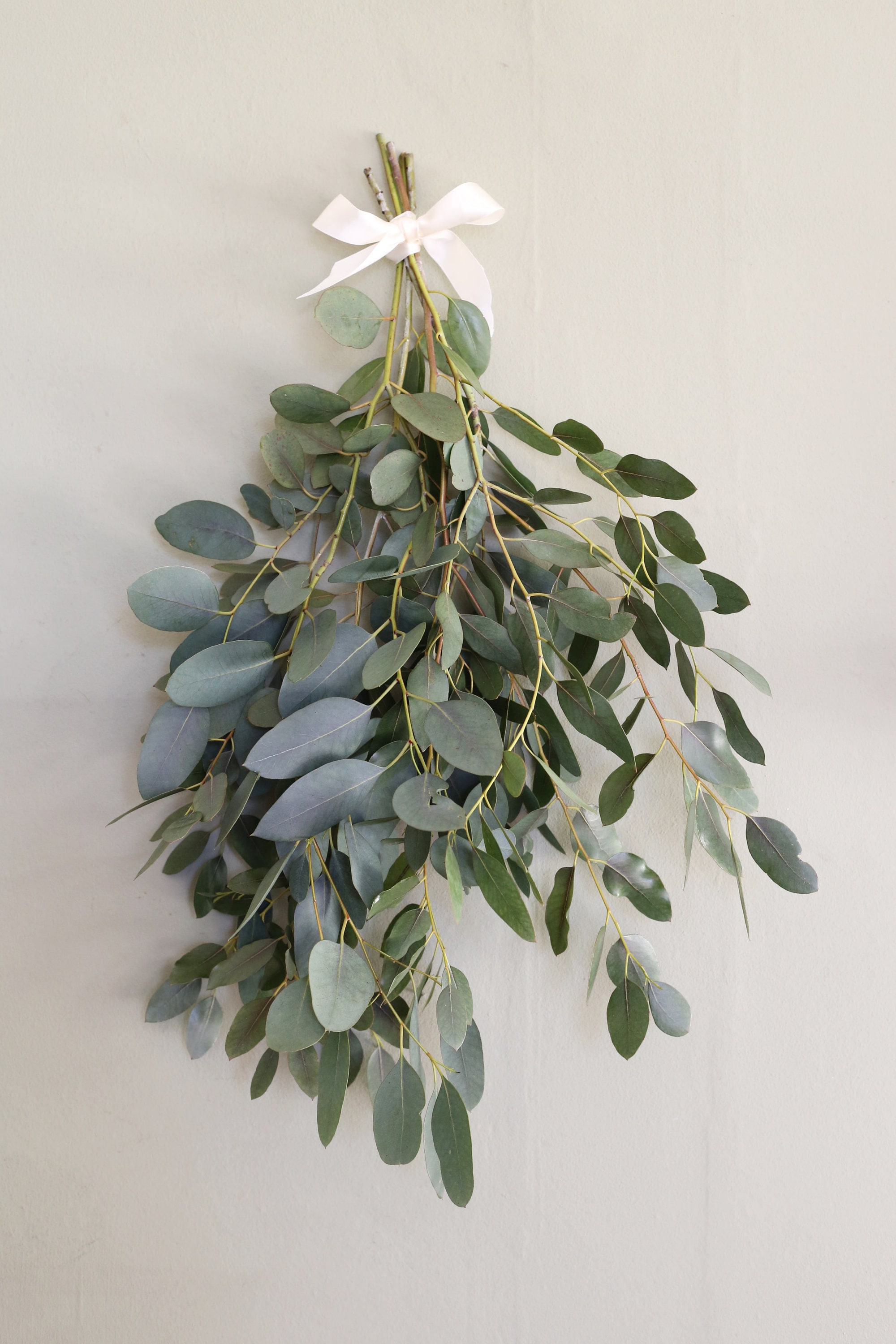 Fresh Eucalyptus Shower bundle Aromatherapy Spa Etsy