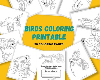 Beautiful Birds | distraction free coloring sheets printables | birds birthday party activity | nature loving kids | favors | Audobon Birds
