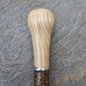 May include: A wooden walking stick with a brown and light brown handle and a silver band. The handle is rounded and has a smooth finish.