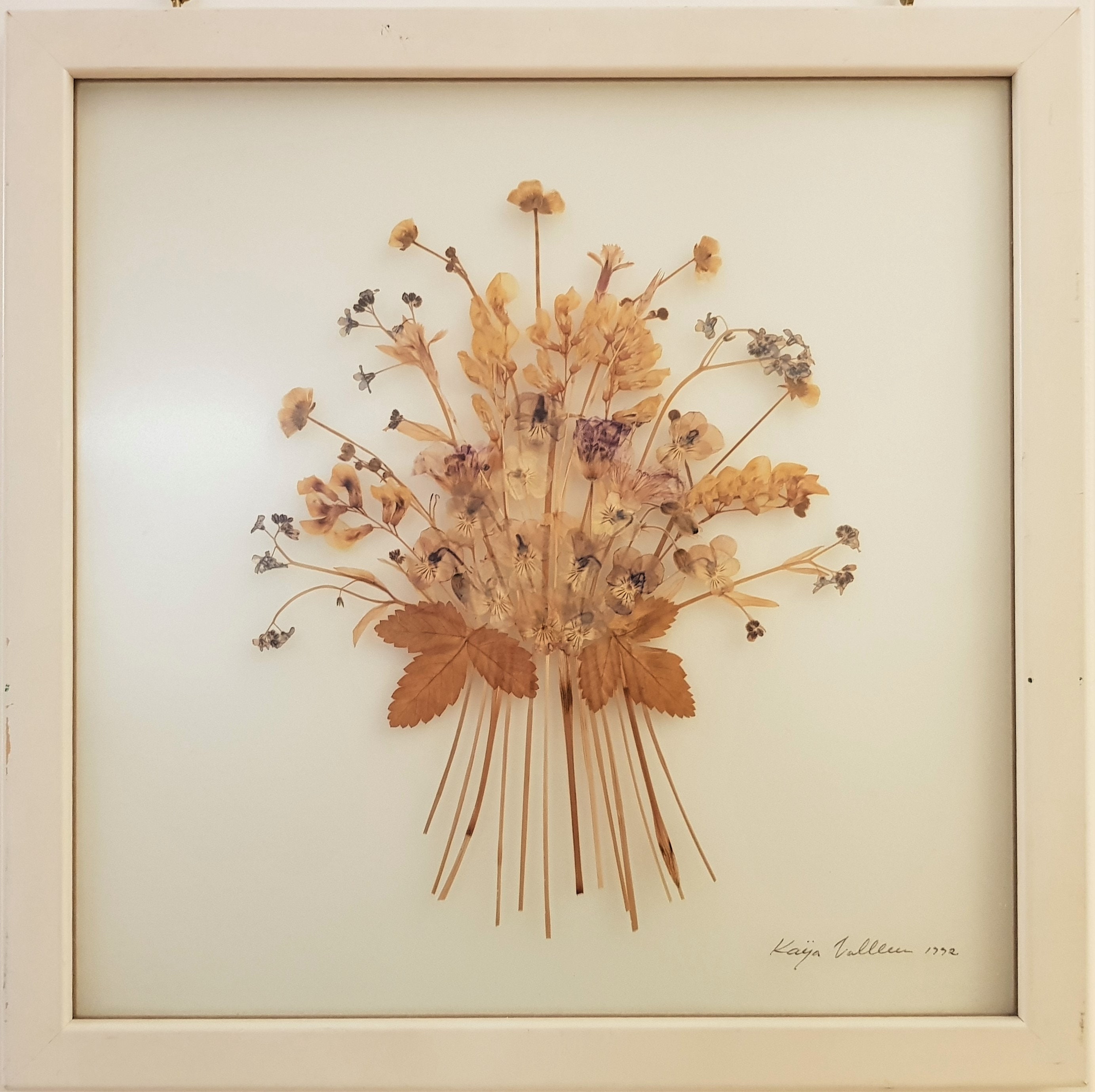 Pressed Flower Art Vintage - Etsy Pressed Flower Art Vintage - Etsy