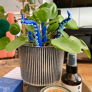May include: A potted plant with blue octopus-shaped plant stakes. The plant is in a black and white striped pot with a wide base. There is a bottle of plant spray, a box of fortune telling cards, and a candle jar in the background.