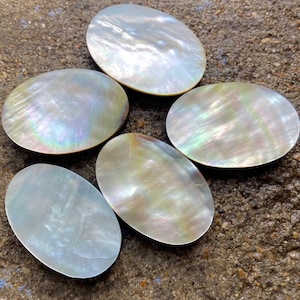 Könnte beinhalten: Fünf ovale Perlmutt-Cabochons mit irisierenden Farben. Die Muscheln sind glatt und poliert.