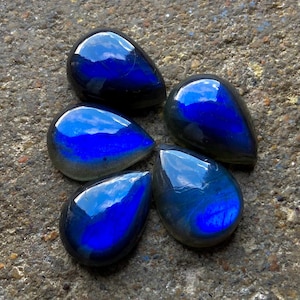 May include: Five polished labradorite gemstones, teardrop-shaped. The stones exhibit a deep blue iridescence with flashes of other colours. They are arranged on a textured, grey surface, highlighting their reflective properties.