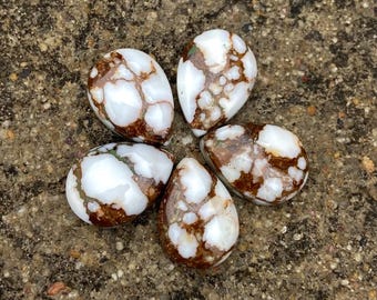 5 cabujones de jaspe de caballo salvaje: piedras preciosas con forma de pera y lágrima