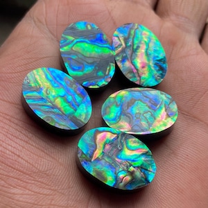 Può includere: Cinque cabochon ovali in madreperla di abalone con colori iridescenti verdi, blu e viola. I cabochon sono lisci e lucidi.