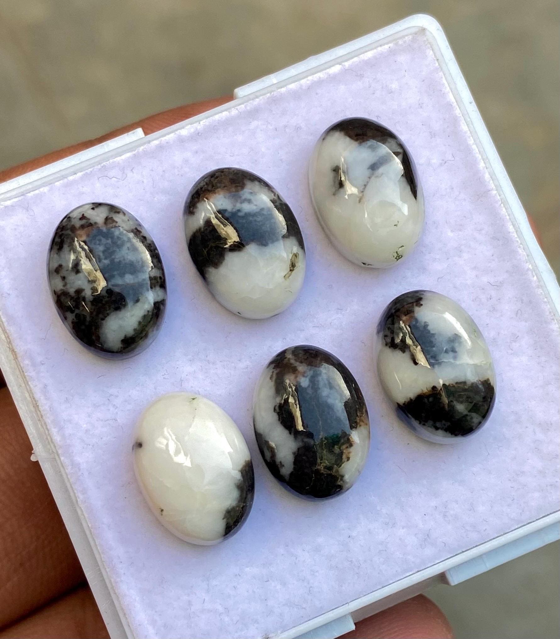 White Buffalo Turquoise Cabochon: Oval Flat Back Gemstone