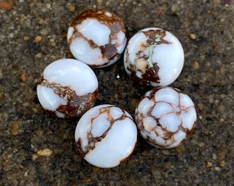 5 cabujones de jaspe de caballo salvaje AAA: piedras preciosas redondas con parte posterior plana