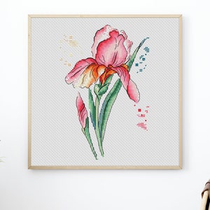 Flor Iris Rosa - Patrón punto de cruz PDF - Flor estilo acuarela