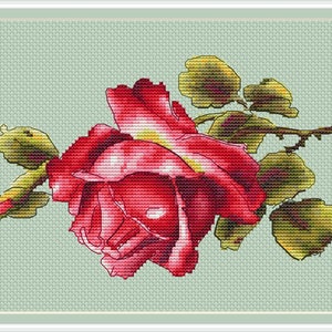 Carmine Red Rose cross stitch pattern - PDF cross stitch red flower - Carmine Rose embroidery chart