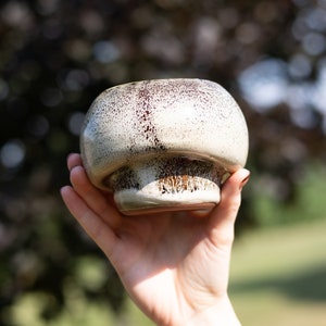 May include: A white ceramic planter shaped like a mushroom with brown speckles. The planter is being held in a hand.