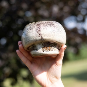 Mushroom Planting Pot