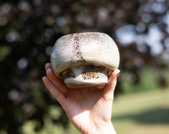 May include: A white ceramic planter shaped like a mushroom with brown speckles. The planter is being held in a hand.