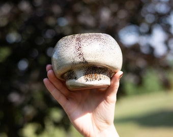 Mushroom Planting Pot