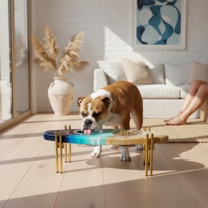 Surfboard Dog Feeder - Etsy