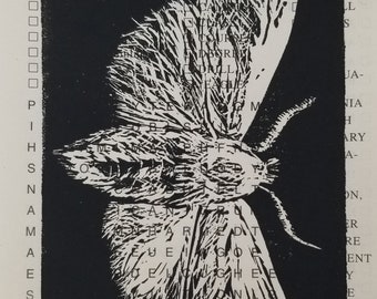 Moth Hand Pulled Print / Relief print on found text / Insects