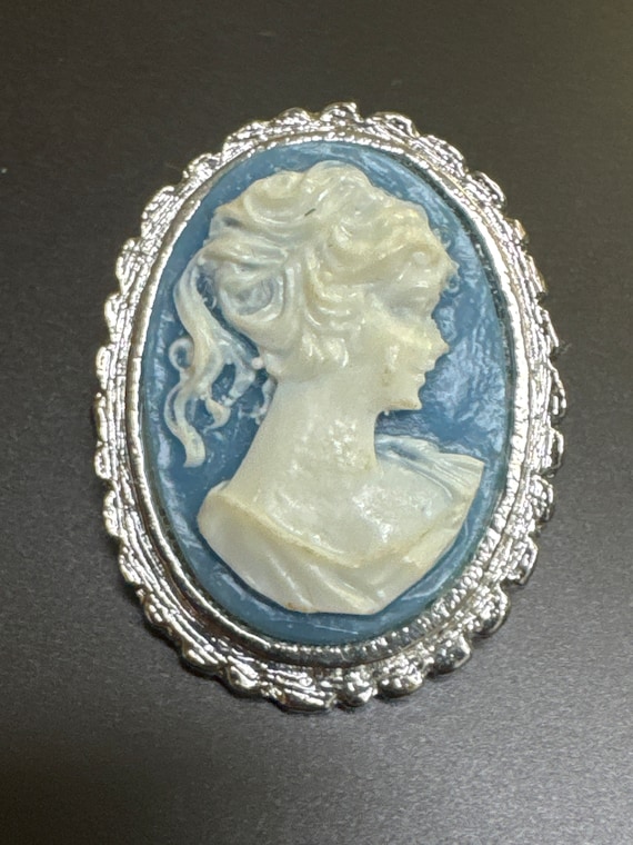 Faux Wedgewood Cameo Pin