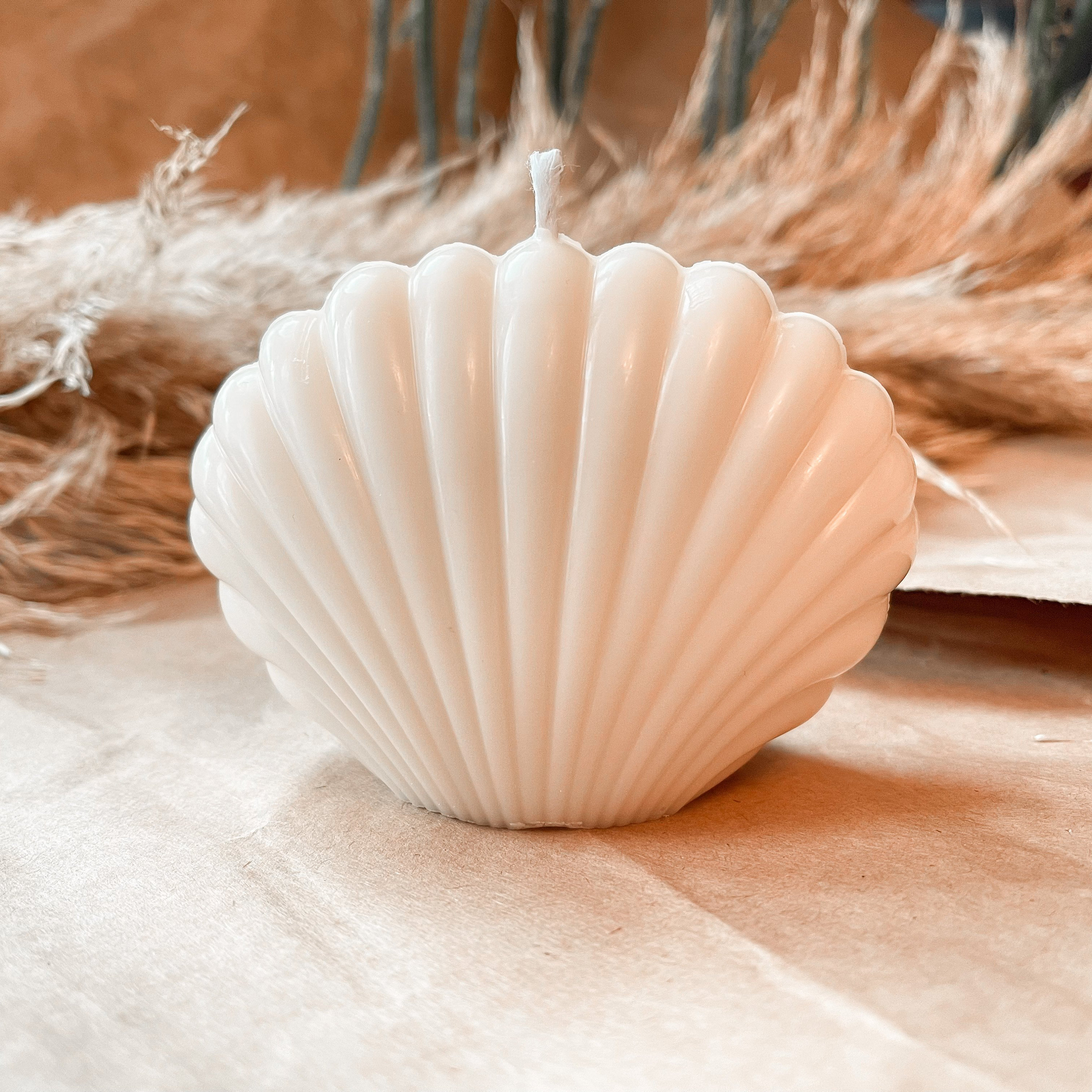 Shell candles Sea shell candle White candle Soy wax Etsy