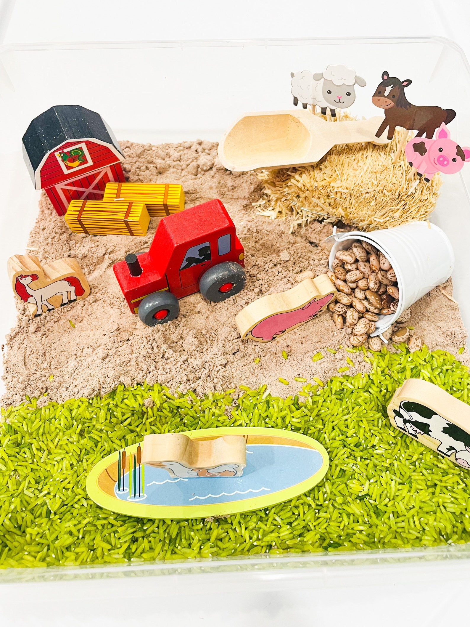 Farm Animals sensory bin farm animals sensory kit sensory Etsy