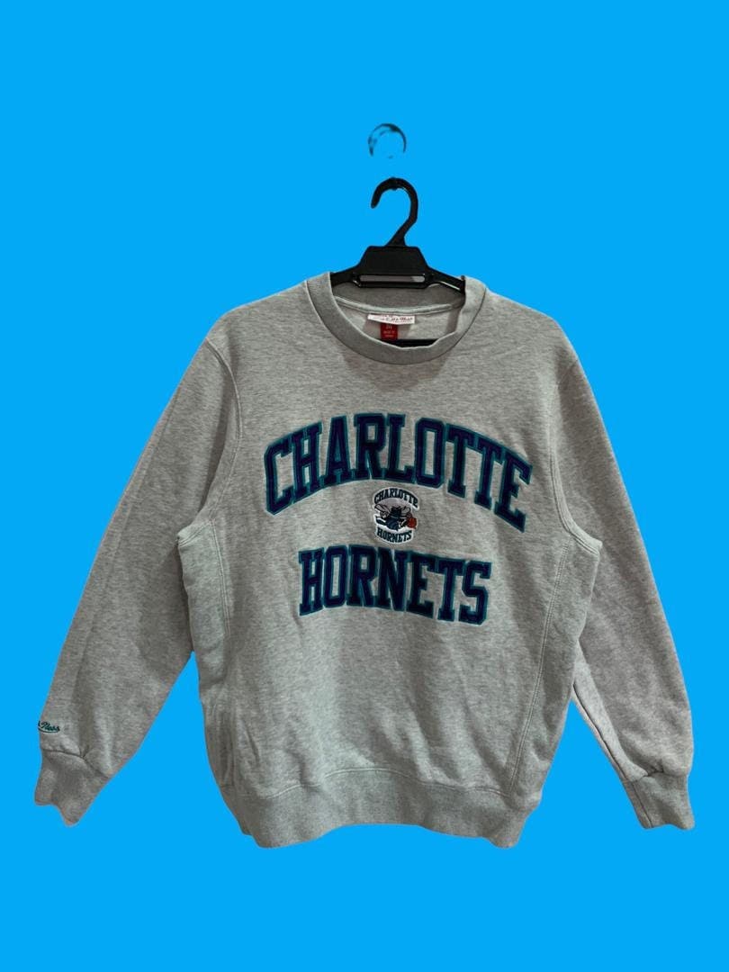 Charlotte Hornets Buzz City Hoodie from Homage. | Ash | Vintage Apparel from Homage.