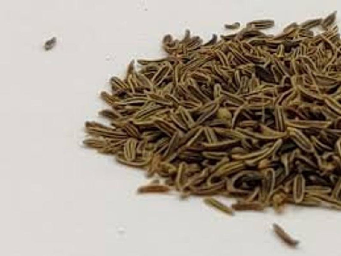 BEST INDIAN 100 NATURAL Caraway Seeds Shajira Shahi Jeera Etsy