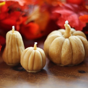 100% Beeswax Pumpkin Candles | Thanksgiving Candle | Fall Decor | Fall Candle | Realistic | Gourds | Handcrafted | Eco-Friendly