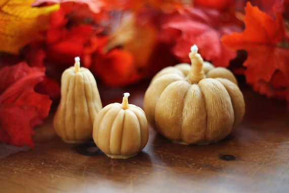 100% Beeswax Pumpkin Candles | Thanksgiving Candle | Fall Decor | Fall Candle | Realistic | Gourds | Handcrafted | Eco-Friendly