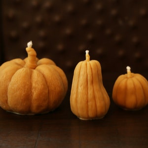 May include: Three hand-crafted pumpkin-shaped candles in various sizes. The candles are made of a light brown wax and have a simple, rustic design.