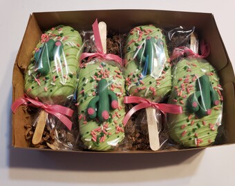 Cactus cake popsicle gift boxed - birthday, party, cactus, spring