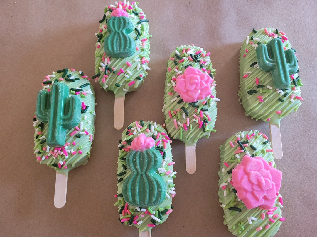 CELEBRATION BUNDLES - CACTUS, SUN & PALE PINK main image 1