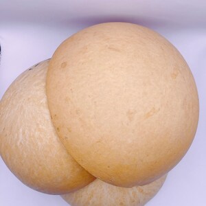 May include: Two large, round, light brown gourds stacked on top of each other.