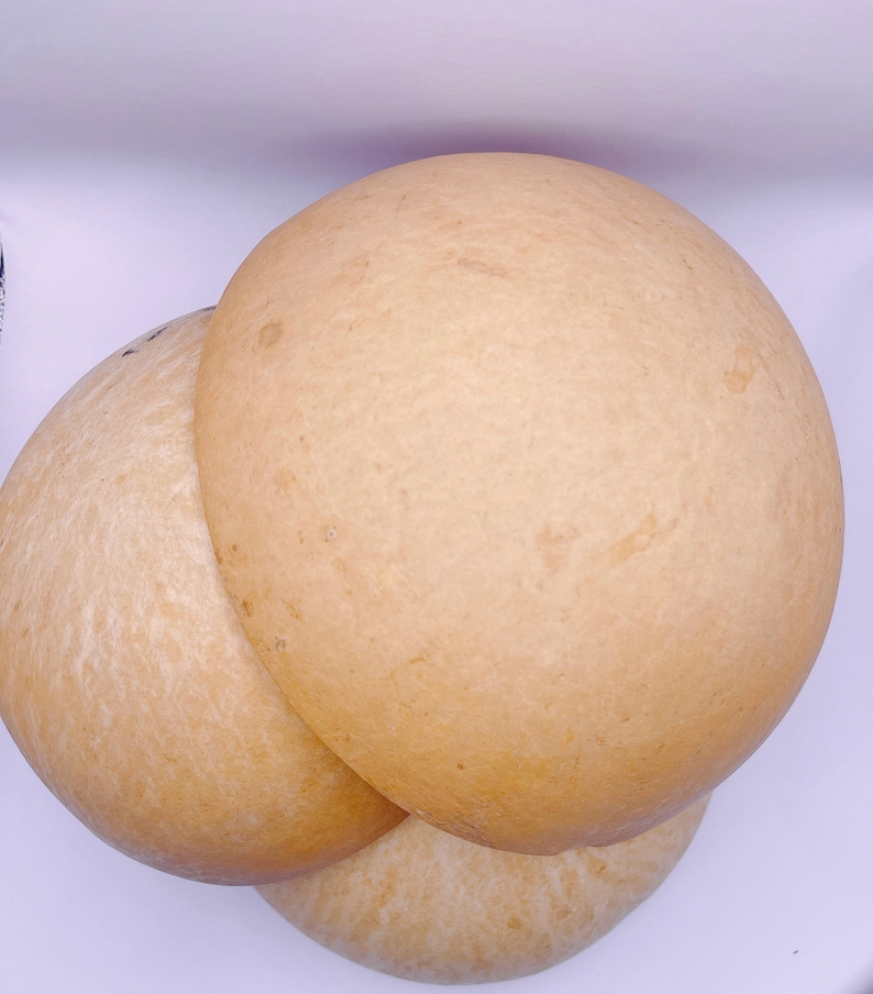 May include: Two large, round, light brown gourds stacked on top of each other.