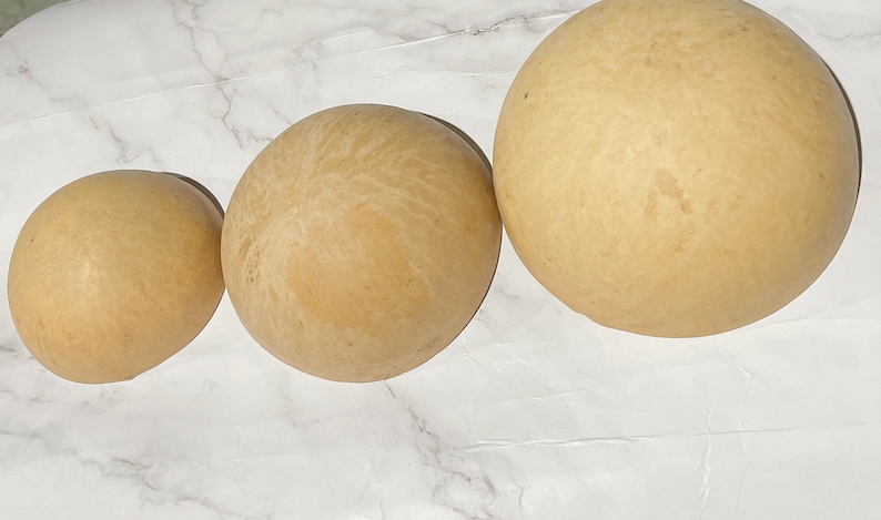 May include: Three round, beige gourds of varying sizes, arranged in a row on a white marble surface.